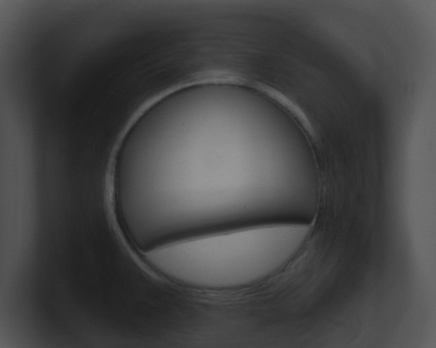 X0000100911383200806241042