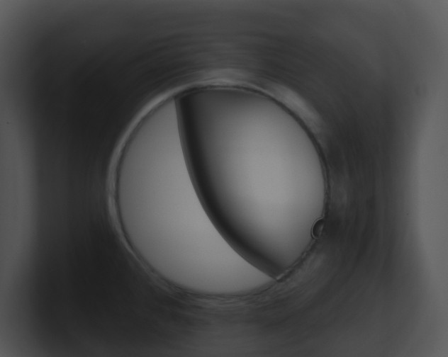 X0000100911384200806241042