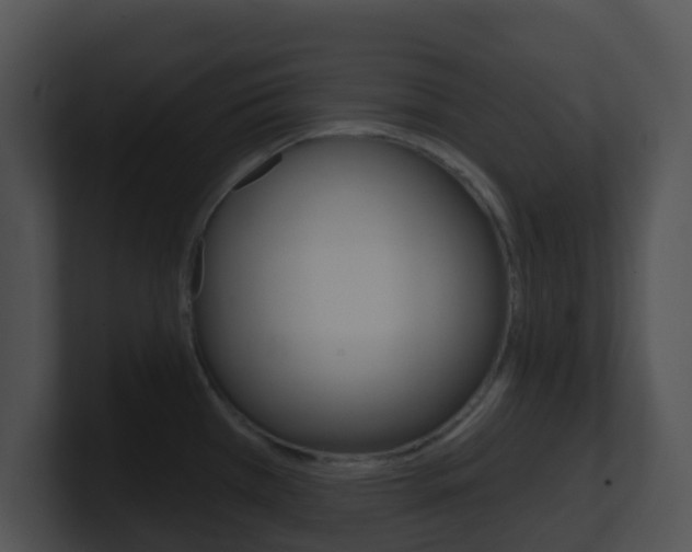 X0000100911385200806241042