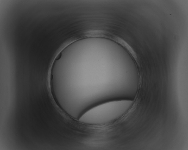 X0000100911386200806241042