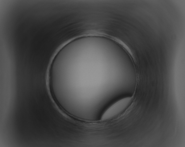 X0000100911387200806241042