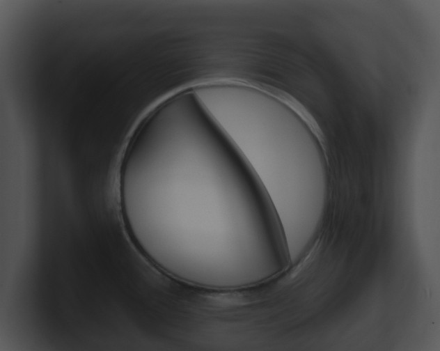 X0000100911388200806241042