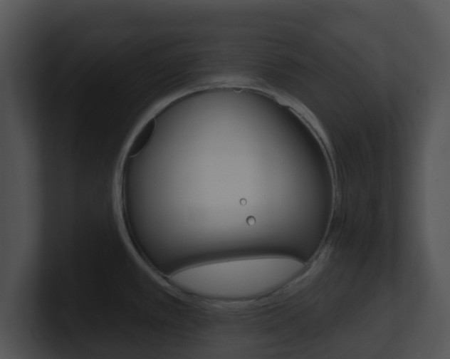 X0000100911389200806241042