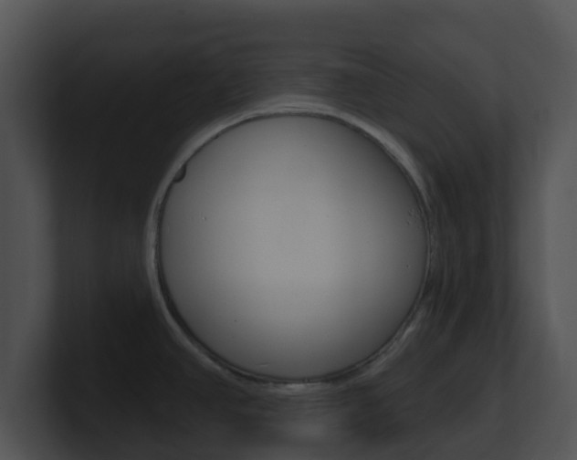X0000100911390200806241042