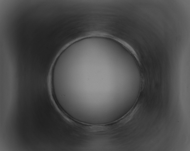 X0000100911391200806241042