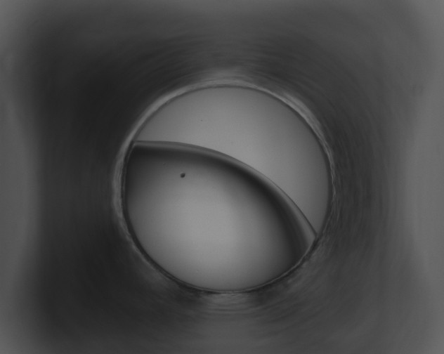 X0000100911392200806241042