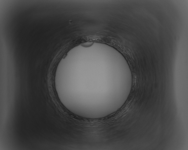 X0000100911393200806241041