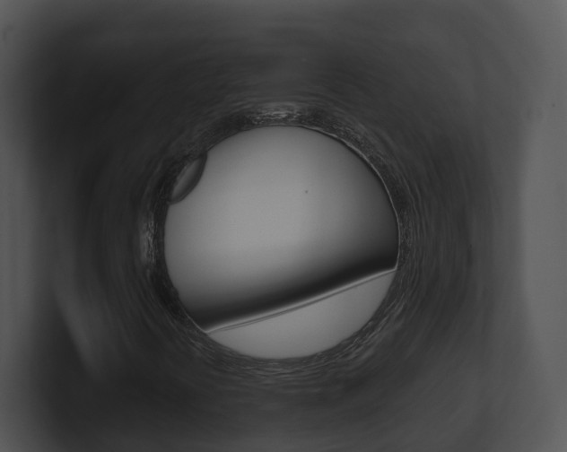 X0000100911394200806241041