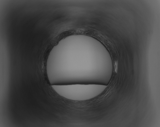 X0000100911395200806241041