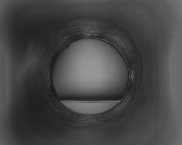 X0000100911396200806241041