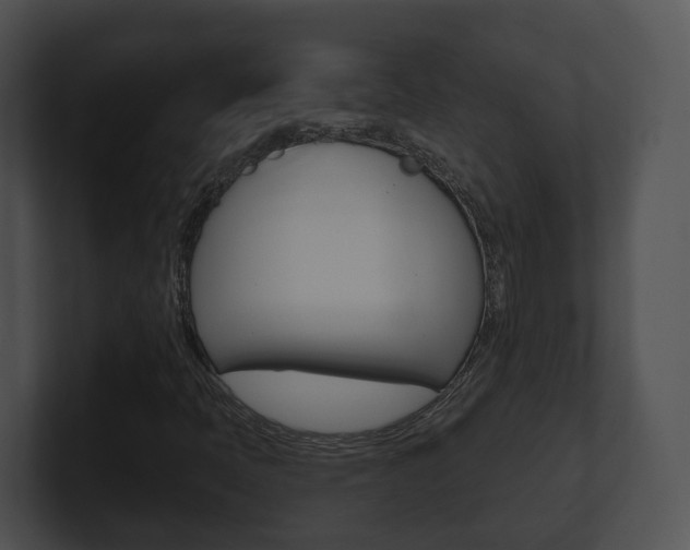 X0000100911397200806241041