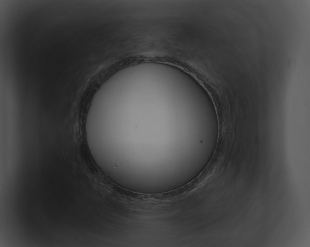 X0000100911398200806241041