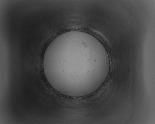 X0000100911399200806241041