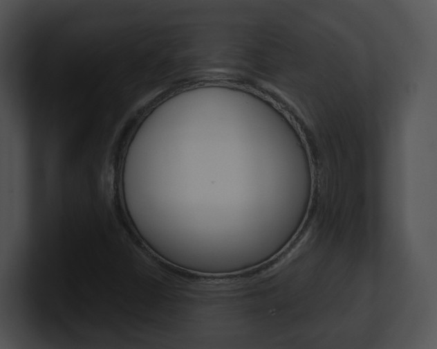 X0000100911402200806241041