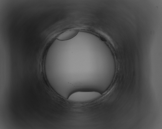 X0000100911407200806241041