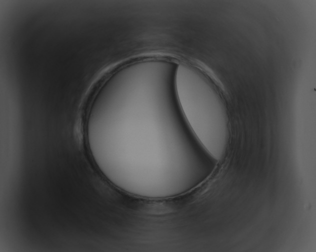 X0000100911408200806241041