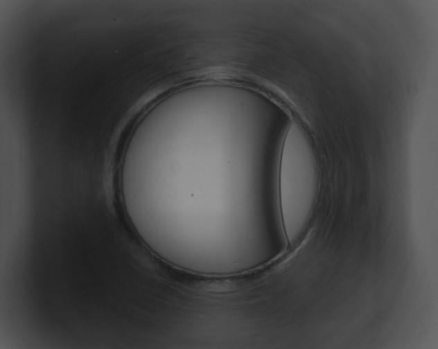 X0000100911410200806241041