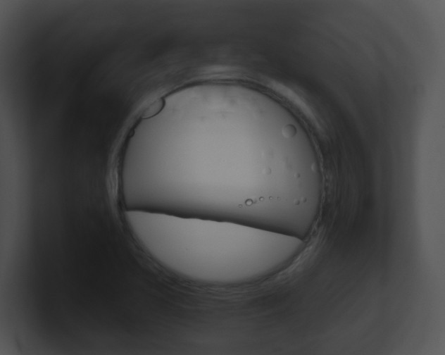 X0000100911413200806241041