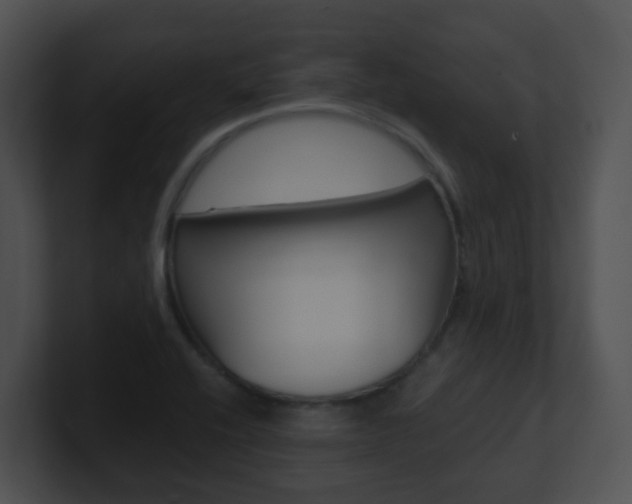 X0000100911416200806241041