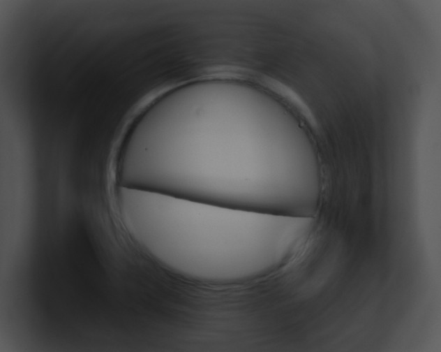 X0000100911419200806241041