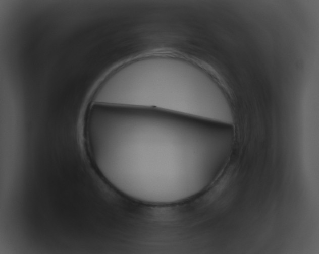 X0000100911422200806241042