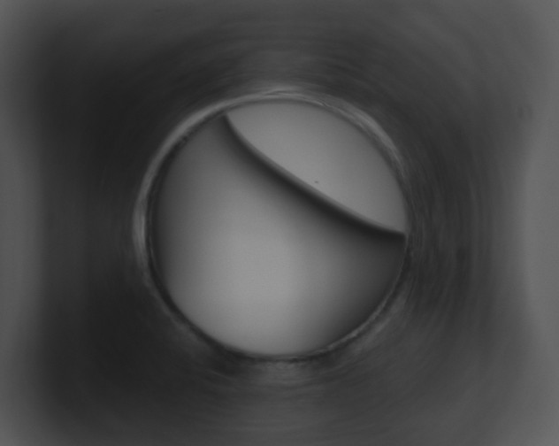 X0000100911424200806241042