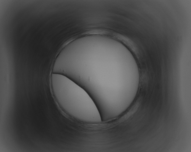 X0000100911425200806241042