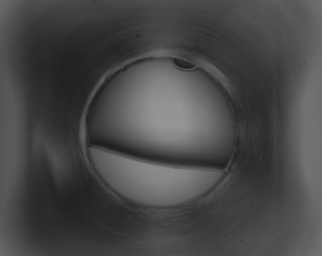 X0000100911428200806241042