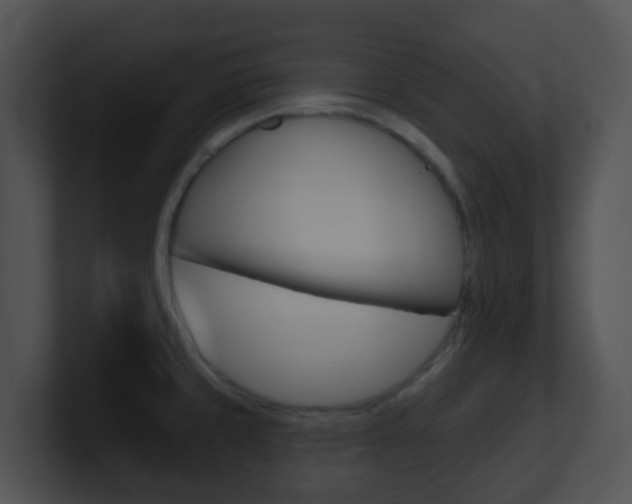X0000100911429200806241042