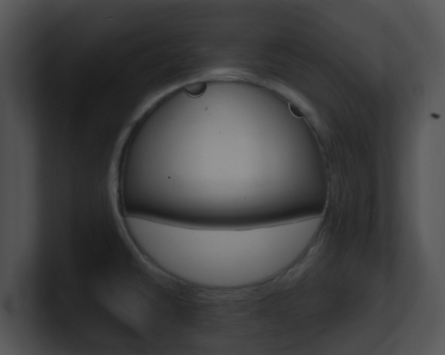 X0000100911430200806241042