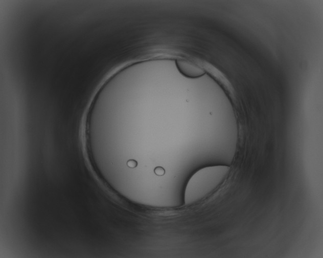 X0000100911431200806241042
