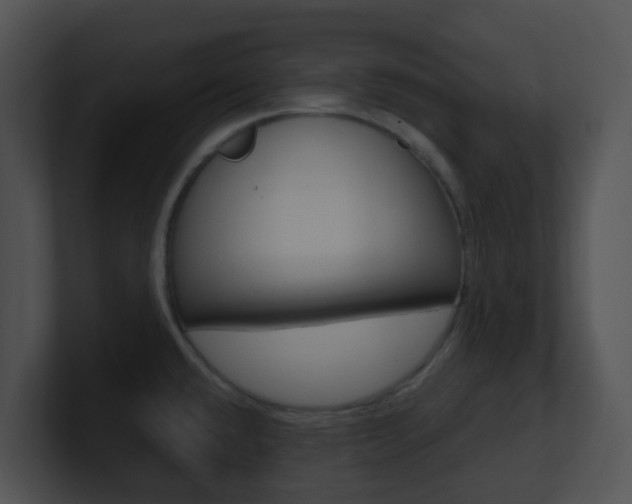 X0000100911432200806241042