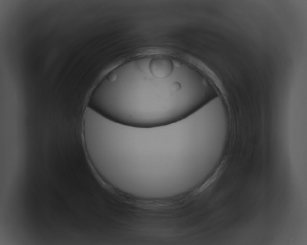 X0000100911433200806241042