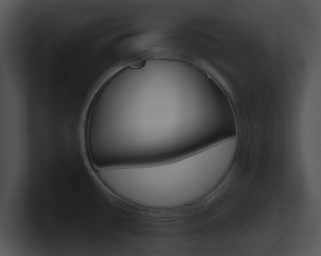 X0000100911434200806241042