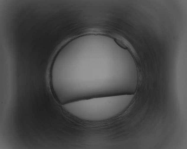 X0000100911435200806241042