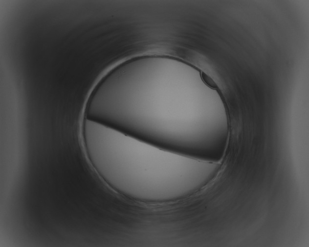 X0000100911436200806241042