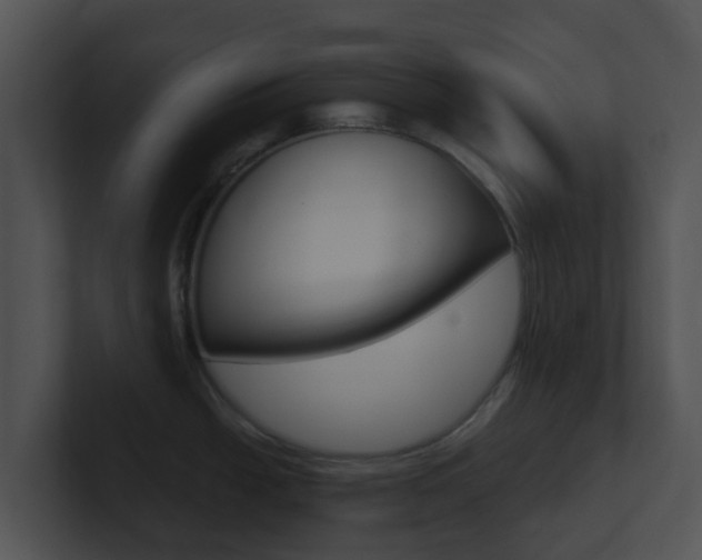 X0000100911438200806241042