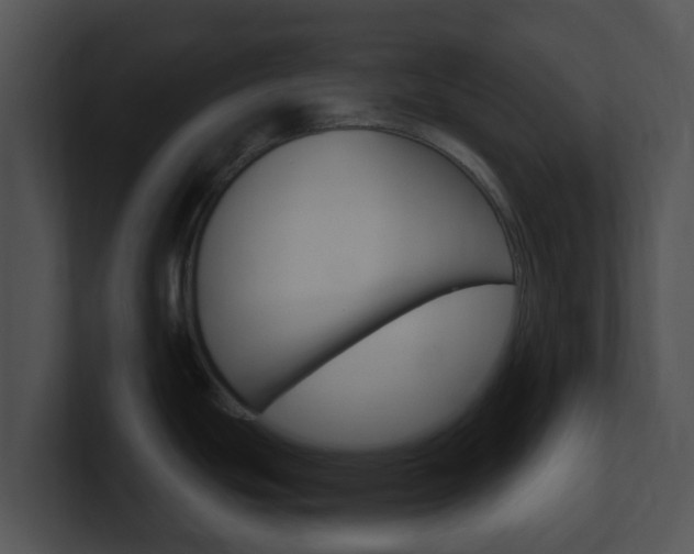 X0000100911439200806241042