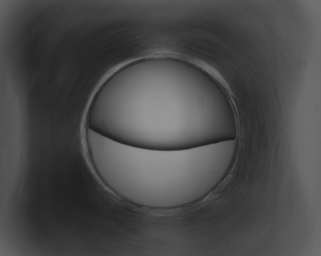 X0000100911440200806241042