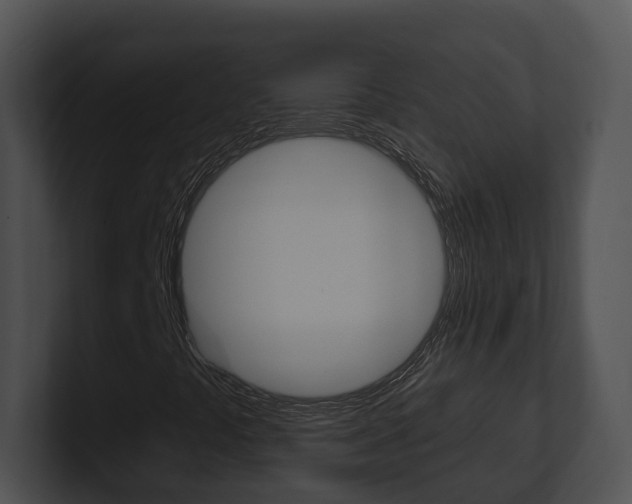 X0000100911441200806241041