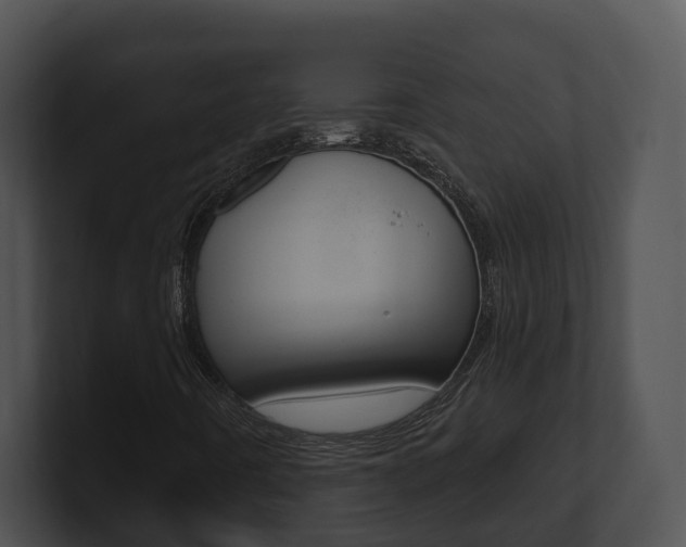 X0000100911442200806241041