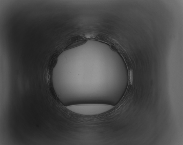 X0000100911443200806241041