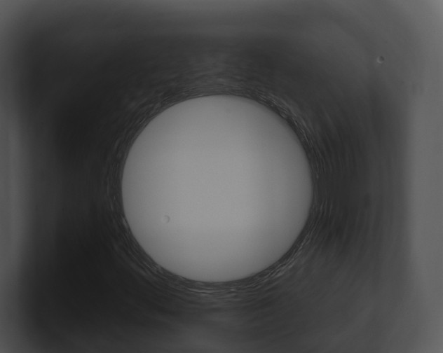 X0000100911444200806241041