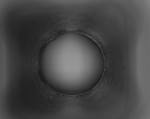 X0000100911445200806241041