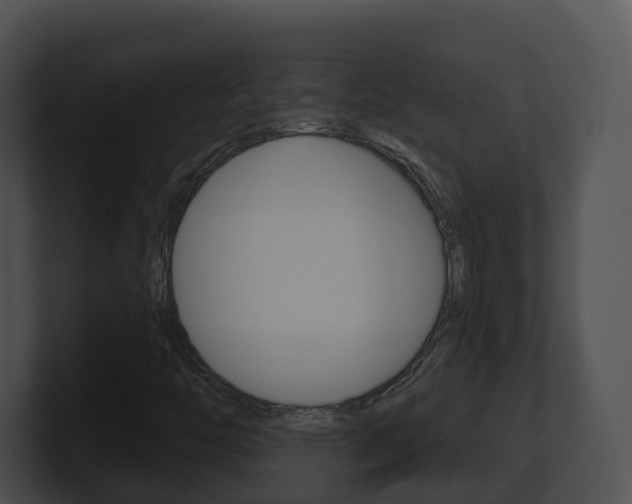 X0000100911446200806241041