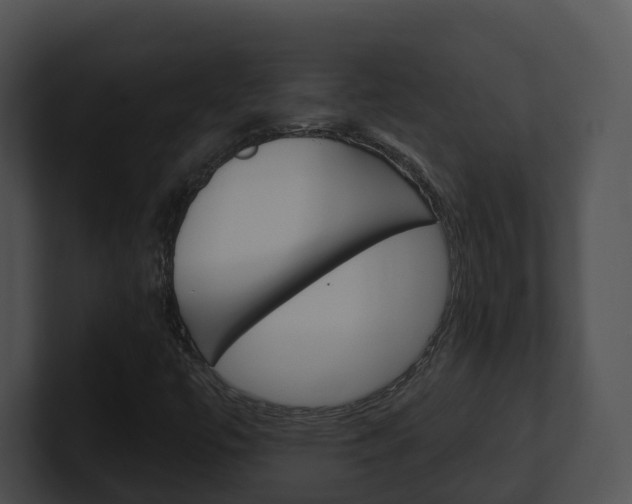 X0000100911447200806241041