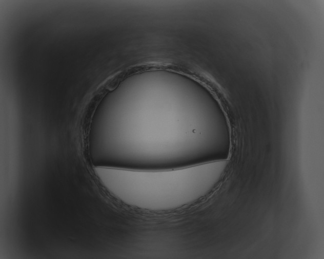 X0000100911448200806241041
