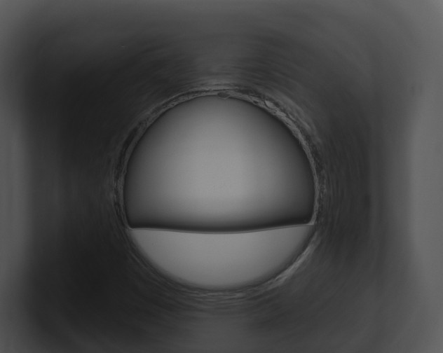 X0000100911449200806241041
