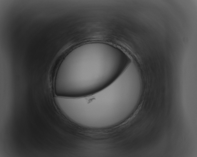 X0000100911450200806241041