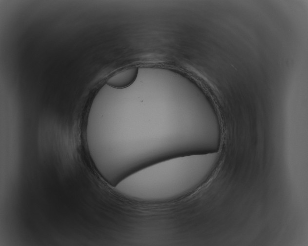 X0000100911451200806241041